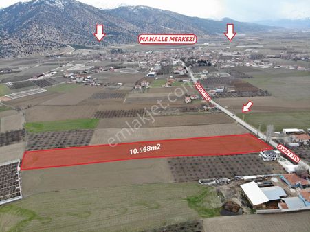 Antalya Elmalı Tekke Mahalle Merkezine Yakın Asfalt Yola Cephe 10.568m2 Satılık Tarla