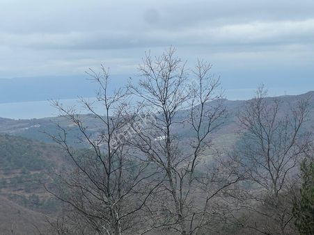 İznik Candarlı Mahallesinde Tarla