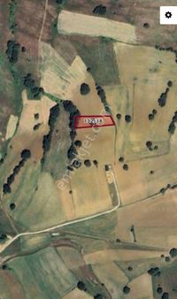 Karaköy De 2564 M2 Tarla