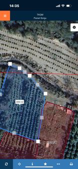 Başlamış Satılık Satsuma Bahçesi