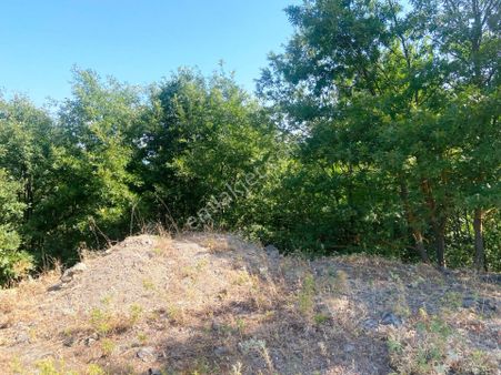 Terzialan Çakmakçayır Mevki 4.980m2 Müstakil Parsel Satılık Arsa