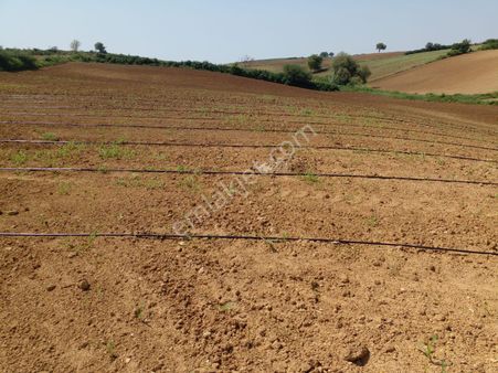 Yola Ve Meraya Cephe Çok Uygun Fiyata 13 500.m2. Dönüm Tarla