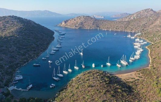 Ebrar&can'dan Dirsekbükü Denize Sıfır Müstakil Koy 36705 Metrekare