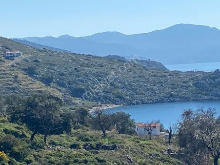 Ebrar&can'dan Ayağacı Deniz Manzaralı 310 Metrekare