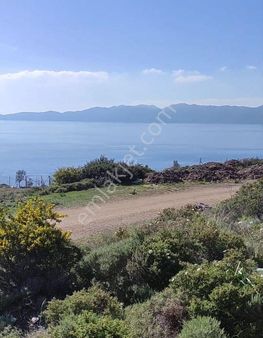 Ebrar&can'dan Ayağacı Full Deniz Manzaralı 1676 Metrekare