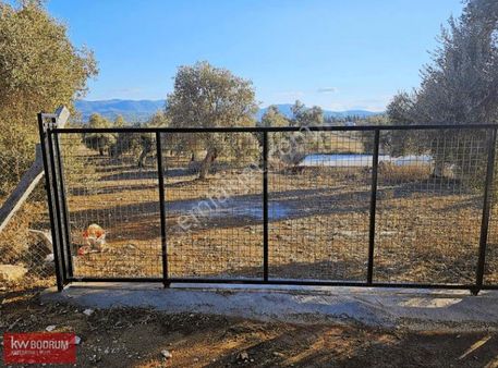 Yol Su Elektrik Var Satılık Tarla Bodrum'a 15 Dk