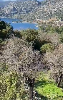 Ebrar&can'dan Söğüt Deniz Manzaralı 3096 Metrekare