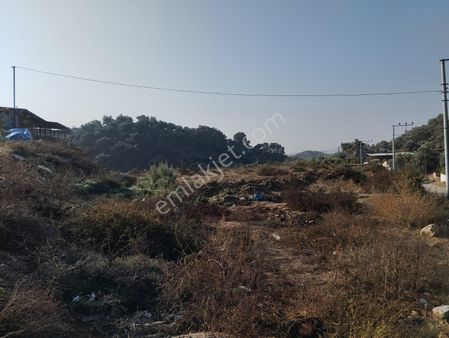 Germencik Dağkarağaçtaimarlı Satılık Arsa