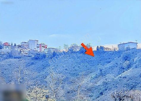 Satılık Deniz Manzaralı İçinde Evi Olan 32.290 M2 Fındık Bahçesi