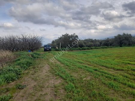 Yatırımlık Satılık Tarla