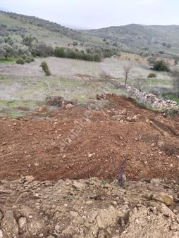 Nazilli Uzunçam Mahallesinde Satılık Bahçe