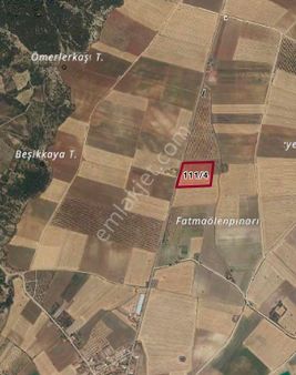 Denizli Tavas Ebecik’de 19 Dönüm Satılık Tarla