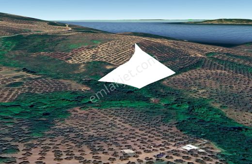 Bursa Mudanya'da Deniz Manzaralı, Verimli Zeytinlik!