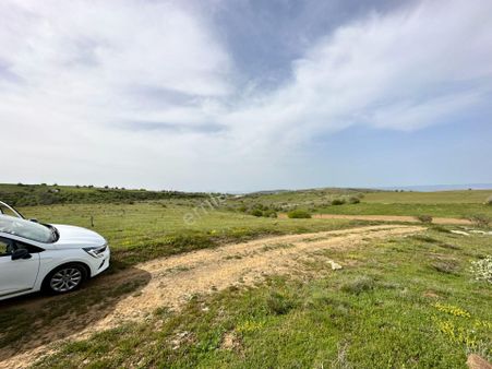 Gama Gayrimenkul'den Yol Kenarı Büyük Verimli Tarla