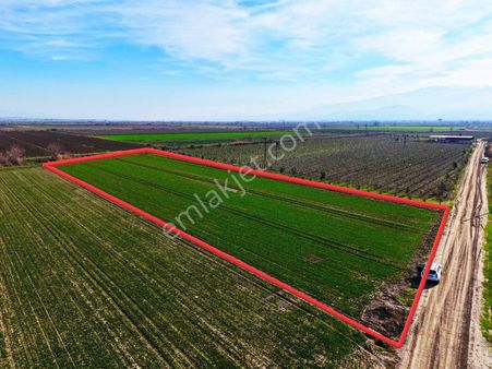 Salihli Süleymaniye'de Satılık 7500 M2 Sulu Tarla (video)