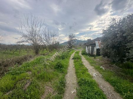 Ortaca Güzelyurt Mahallesinde 12700 M2 Satılık Tarla