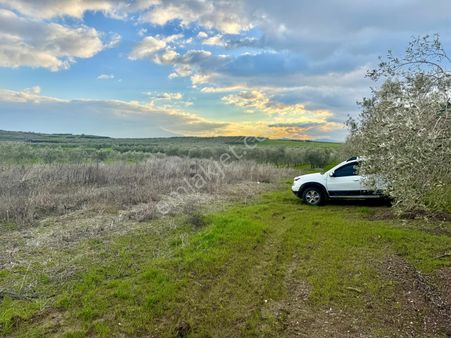 Manisa Tekeller De 2.300 M2 Tarla , Merkeze 16 Km