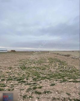 Ağırnas Ta Mükemmel Tek Tapu 16.500m2 Tarla