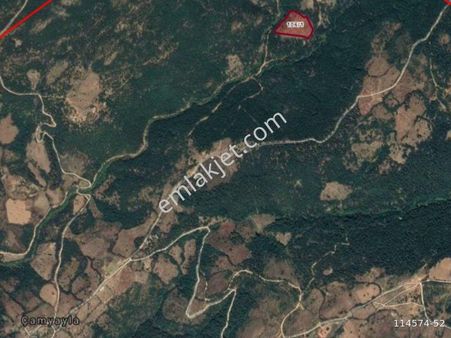 Çanakkale Merkez Çamyayla Çam 21.900 M2 Tarla