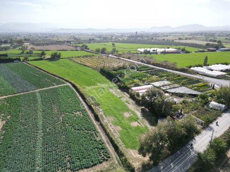 Akçay Poyraz Gayrimenkul'den Burhaniye Denetko Mevkiinde Satılık 12dönüm Tarla