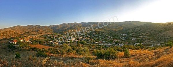 Karpuzlu Ektirli Mahallesinde 16.739 M² Satılık Zeytinlik