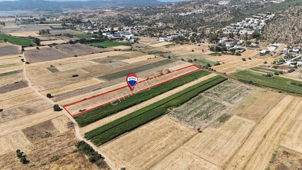 Milas Dörttepe'de Yolu Olan 10.028 M² Satılık Tarla