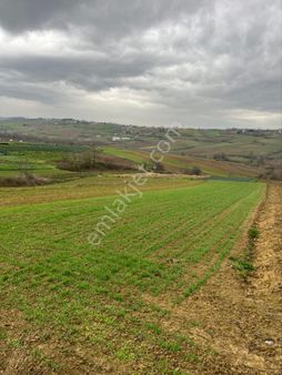 Kocaeli Kandıra Nefsiyadeş 887 M2 Yollu Tarla