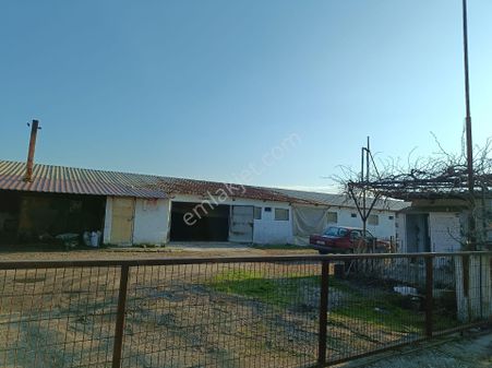 Manisa Salihli Çalışkan Emlaktan Satılık Dombayli Mahallesindr Tavuk Çiftliği
