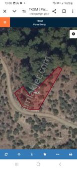 İzmir İli Bayındır İlçesi Sarıyurt Mahallesi Kale Mevkiinde Satılık Zeytinlikler