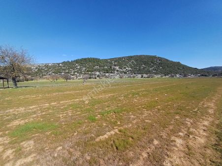 Ns Global Emlak Dan Fırsat Arazi