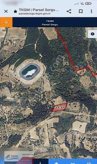 İnegöl Sarıpınar'da Acil Satılık Kupon Tarla