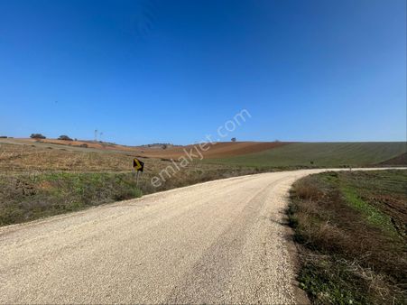 Lider Gruptan Yenişehir Barcında Asvalt Yola Cephe Satılık Tarla