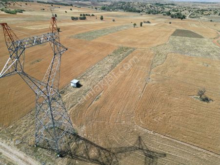 Akören Tülce Mevki 2442 M2 Müstakil Arazimiz Satılık