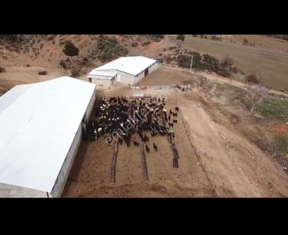 Çavdar Emlak’tan Satılık Çiftlik, Çoban Evi Ve Arazileri