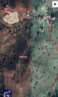 Öner Güneri Den Kdz Ereğli De Satılık Fındık Tarlası