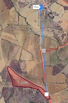 Manisa Salihli Çalışkan Emlaktan Satılık Kula Bayram Şahta Tarla