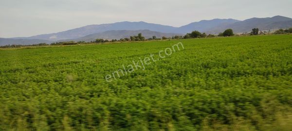 Denizli/tavas Merkez'de Üniversite Yakını Verimli Tarla