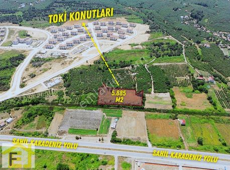 Filiz Emlak'tan Full Deniz Manzaralı 5.885 M2 Satılık Arsa