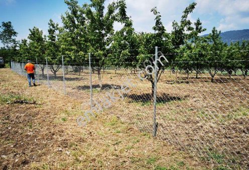 Bursa Kestel Gölcük'te Satılık Köye Yakın Kiraz Bahçesi