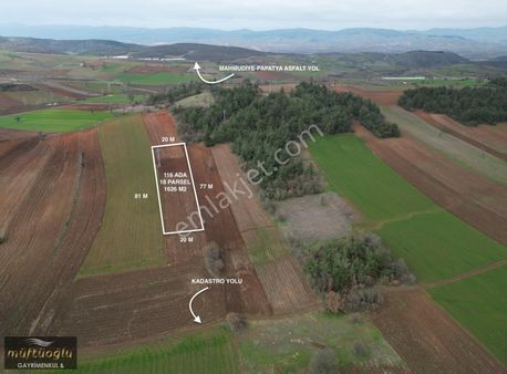 Bursa Yenişehir Günece Mahallesin'de Satılık Tarla