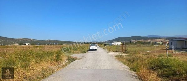 Foça Gerenköy Merkeze 500 M Mesafede Komşuları Olan Boş Tarla