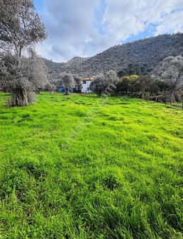 My Gayrimenkul' Den Kandak Köyünde Muhteşem Parseller Açıklamada