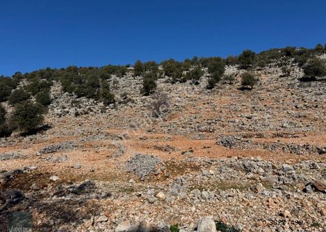 Venüs Emlak Demre Den Belören Köyünde Kisleyanı Satılık Tarla
