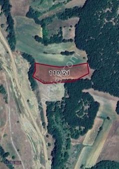 Kelepirr Pınarhisar Poyralı 6884 M² Satılık Tarla