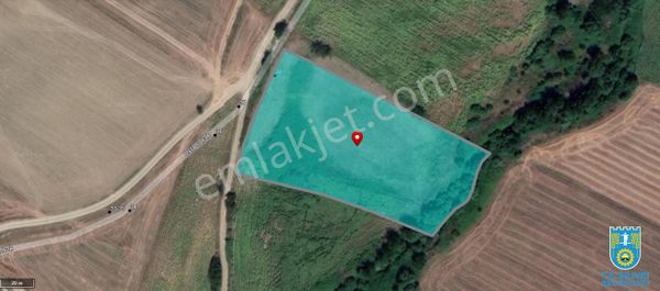 Büyükkılıçlı'da Uygun Fiyatlı 6985 M2 Yatırımlık Tarla