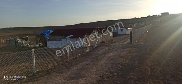 Ankara Ayaş Göklerde 860 M2 Hisse Tapu