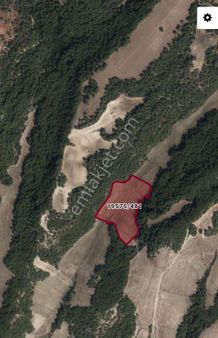 Çelebi Gayrimenkul'den Kılıçlı'da Yatırımlık 535 Metrekarelik İsse