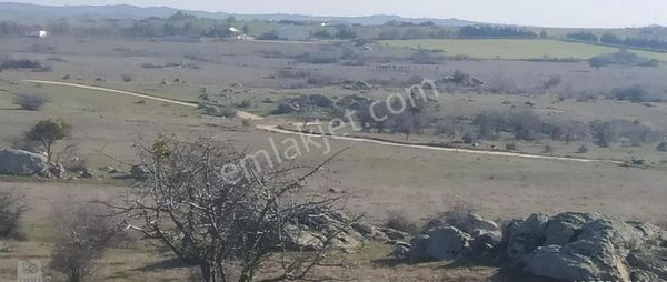 Karaca Gayrımenkul Danışmanlık Ltd Şti