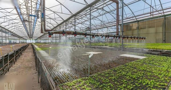 Serik, Deniztepesi'nde Satılık 30,4 Dönüm Arazi Ve Sera