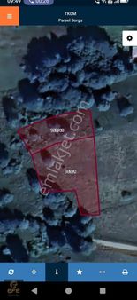 Efe Gayrimenkulden Maçka Hamsiköyde Satılık Arsalar